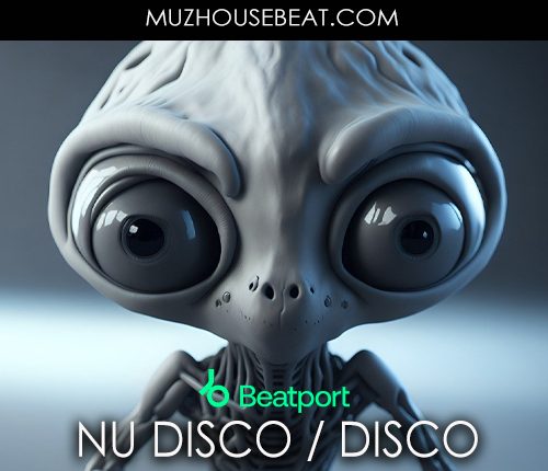 Beatport Top 100 Nu Disco Disco August 2023